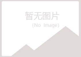 白银平川清新媒体有限公司